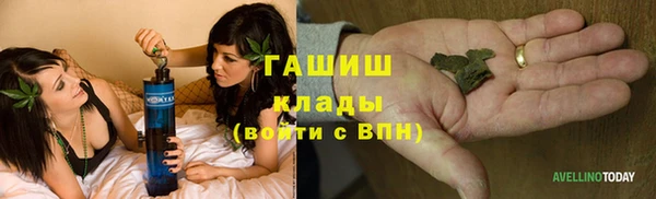 молекула духа Алексин