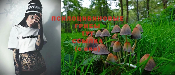 молекула духа Алексин
