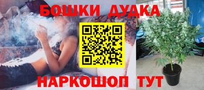 дмт Брянск