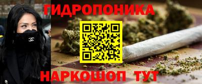 прущие крисы Новокубанск