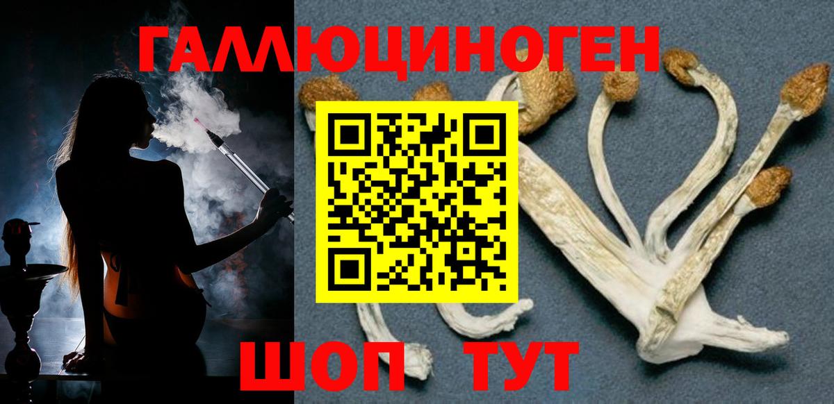 Псилоцибиновые грибы MAGIC MUSHROOMS Находка