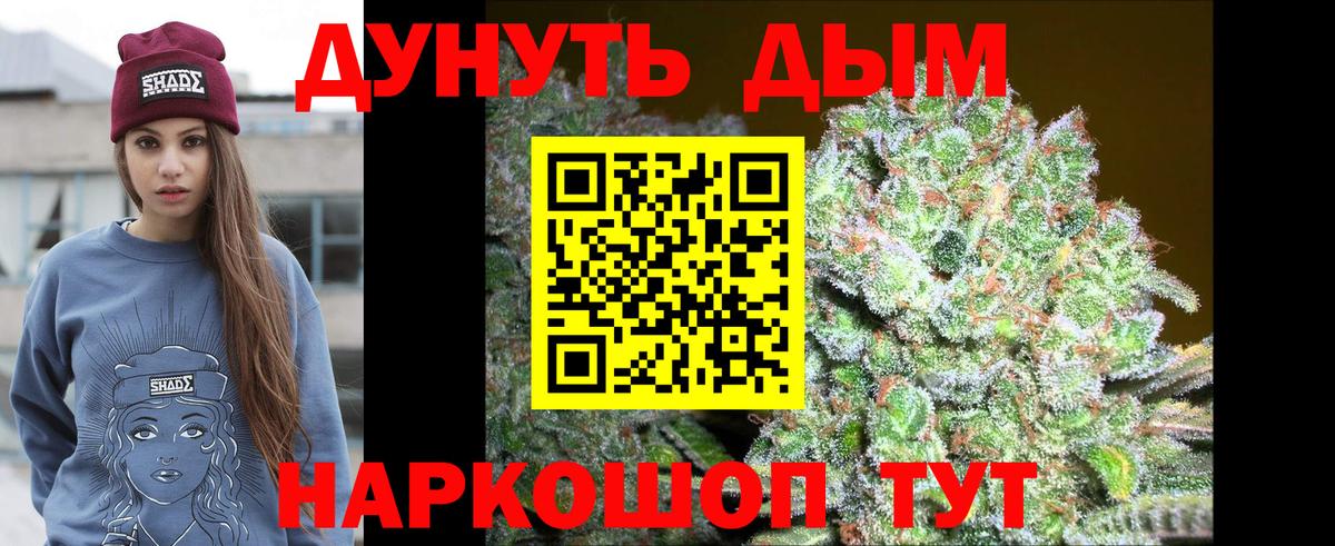 Каннабис планчик  МАРИХУАНА Bruce Banner  Марихуана VHQ  Находка  Вход с VPN  Каннабис SATIVA & INDICA 